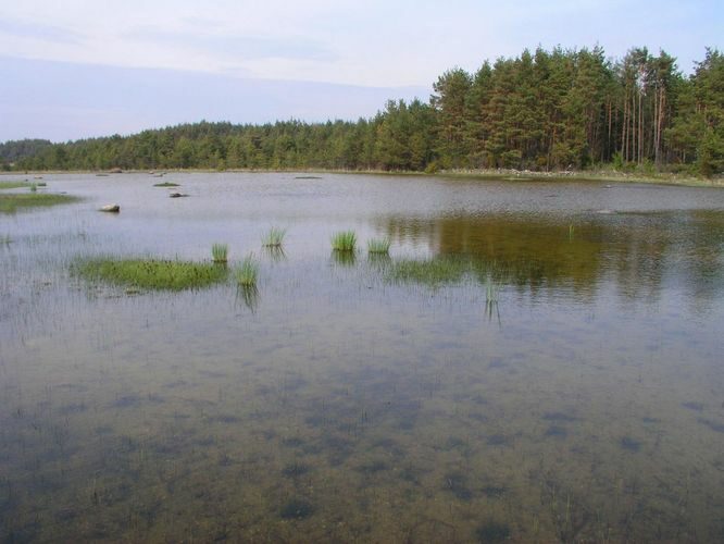 Maakond: Saaremaa Veekogu nimi: Nonni järv Pildistamise aeg: 26. mai 2005 Pildistaja: H. Timm Pildistamise koht: teadmata Asimuut: