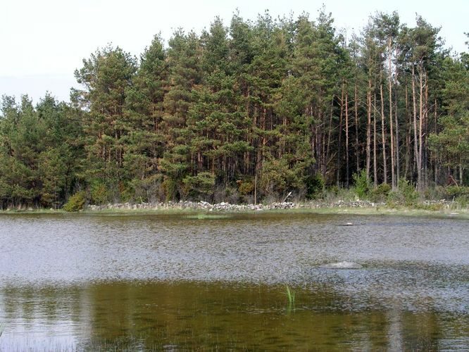 Maakond: Saaremaa Veekogu nimi: Nonni järv Pildistamise aeg: 26. mai 2006 Pildistaja: H. Timm Pildistamise koht: teadmata Asimuut: