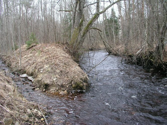 Maakond: Läänemaa Veekogu nimi: Nõva jõgi Pildistamise aeg: 19. aprill 2006 Pildistaja: H. Timm Pildistamise koht: metsatee sild Asimuut: