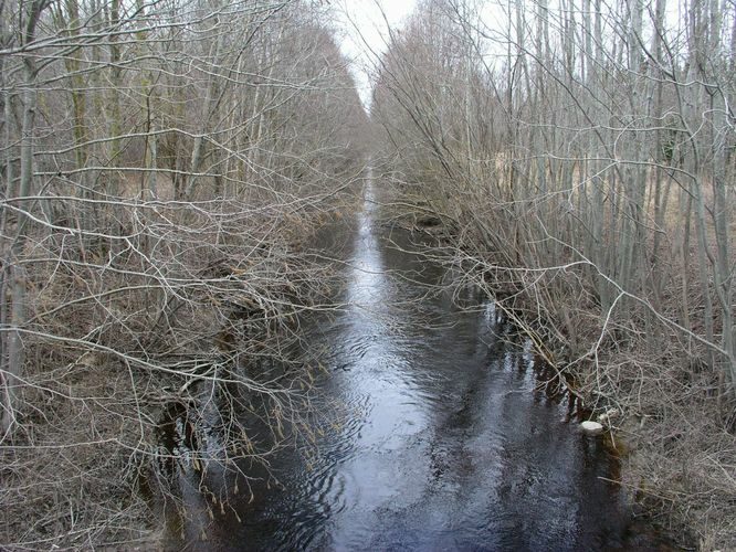 Maakond: Läänemaa Veekogu nimi: Nõva jõgi Pildistamise aeg: 19. aprill 2006 Pildistaja: H. Timm Pildistamise koht: Peraküla Asimuut: