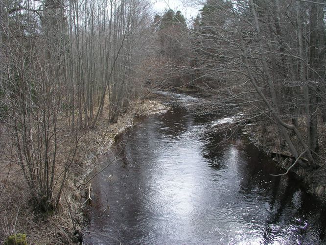 Maakond: Läänemaa Veekogu nimi: Nõva jõgi Pildistamise aeg: 19. aprill 2006 Pildistaja: H. Timm Pildistamise koht: Peraküla Asimuut: