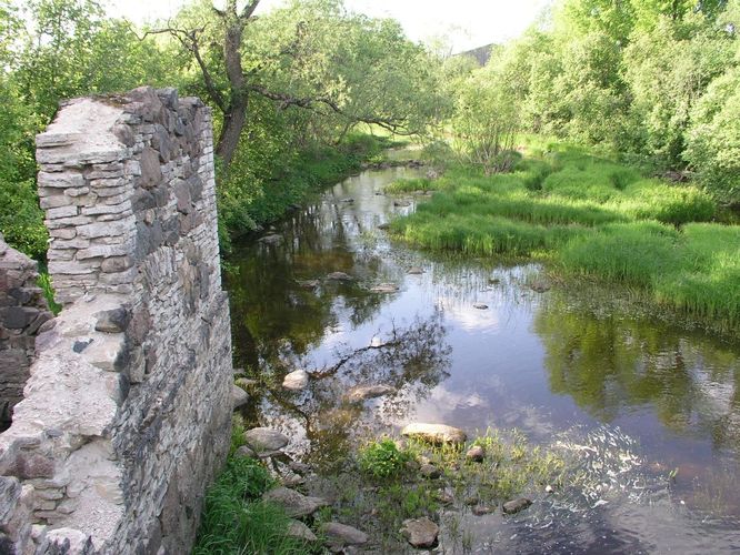 Maakond: Raplamaa Veekogu nimi: Nurtu jõgi Pildistamise aeg: 22. mai 2008 Pildistaja: H. Timm Pildistamise koht: alamjooks Asimuut: