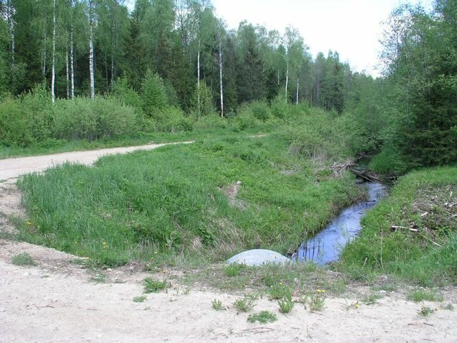 Maakond: Raplamaa Veekogu nimi: Nurtu jõgi Pildistamise aeg: 22. mai 2008 Pildistaja: H. Timm Pildistamise koht: ülemjooks Asimuut: