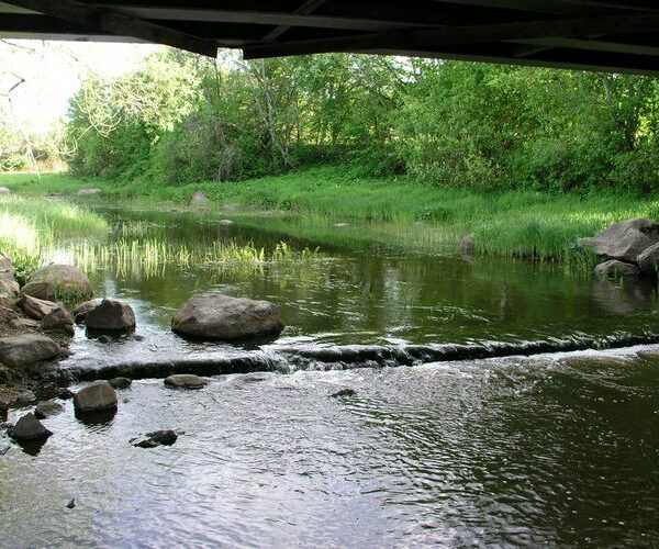 Maakond: Raplamaa Veekogu nimi: Nurtu jõgi Pildistamise aeg: 22. mai 2008 Pildistaja: H. Timm Pildistamise koht: alamjooks Asimuut:
