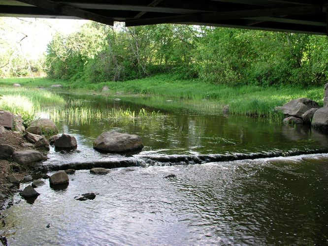 Maakond: Raplamaa Veekogu nimi: Nurtu jõgi Pildistamise aeg: 22. mai 2008 Pildistaja: H. Timm Pildistamise koht: alamjooks Asimuut: