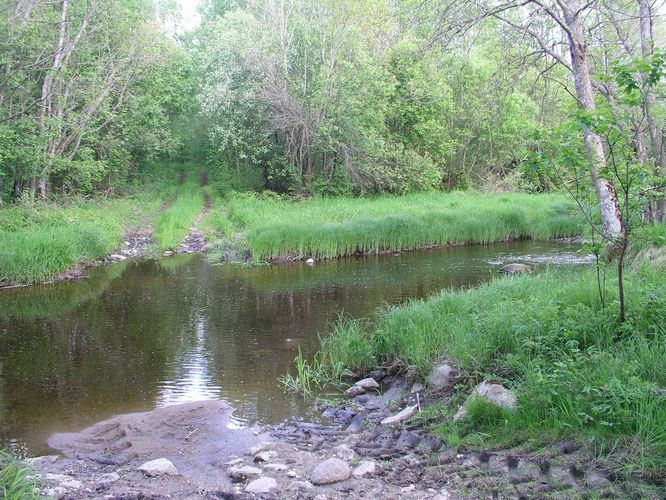 Maakond: Raplamaa Veekogu nimi: Nurtu jõgi Pildistamise aeg: 22. mai 2008 Pildistaja: H. Timm Pildistamise koht: Kohtru Asimuut: