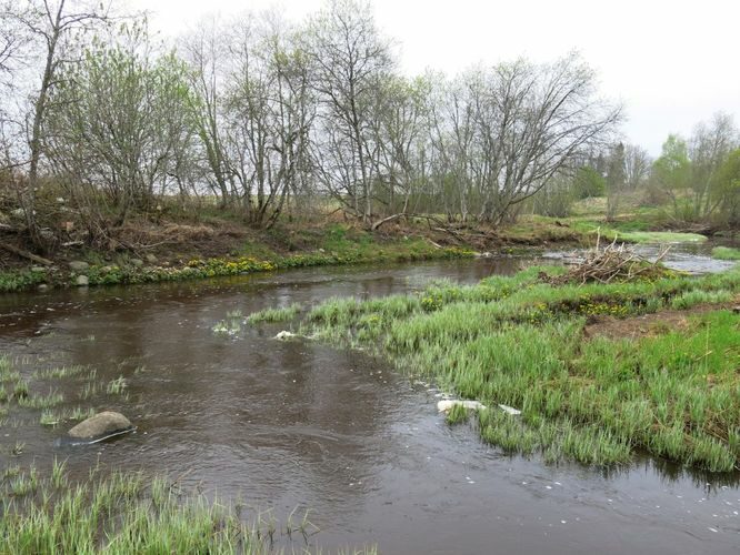 Maakond: Raplamaa Veekogu nimi: Nurtu jõgi Pildistamise aeg: 12. mai 2013 Pildistaja: H. Timm Pildistamise koht: Inda Asimuut: