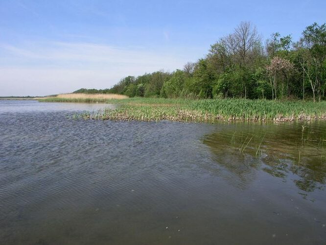 Maakond: Saaremaa Veekogu nimi: Oessaare laht Pildistamise aeg: 26. mai 2009 Pildistaja: H. Timm Pildistamise koht: teadmata Asimuut: