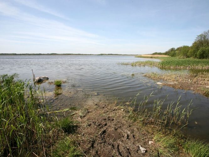 Maakond: Saaremaa Veekogu nimi: Oessaare laht Pildistamise aeg: 26. mai 2009 Pildistaja: H. Timm Pildistamise koht: teadmata Asimuut: