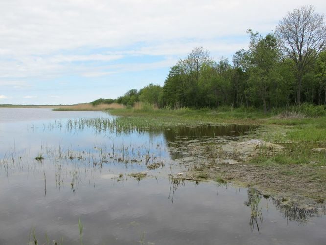 Maakond: Saaremaa Veekogu nimi: Oessaare laht Pildistamise aeg: 25. mai 2010 Pildistaja: H. Timm Pildistamise koht: teadmata Asimuut: