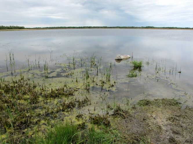 Maakond: Saaremaa Veekogu nimi: Oessaare laht Pildistamise aeg: 25. mai 2010 Pildistaja: H. Timm Pildistamise koht: teadmata Asimuut: