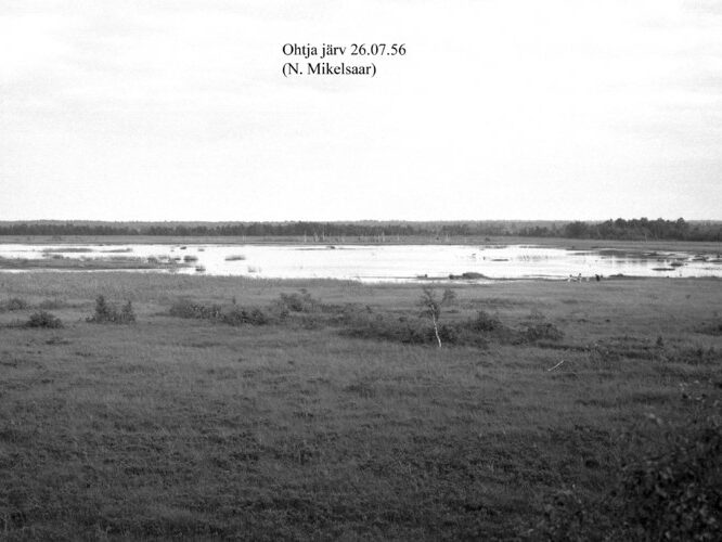 Maakond: Saaremaa Veekogu nimi: Ohtja järv Pildistamise aeg: 26. juuli 1956 Pildistaja: N. Mikelsaar Pildistamise koht: teadmata Asimuut: