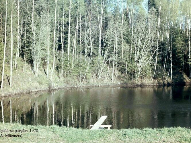 Maakond: Lääne-Virumaa Veekogu nimi: Ojaäärse paisjärv Pildistamise aeg: 1978 Pildistaja: A. Mäemets Pildistamise koht: teadmata Asimuut: