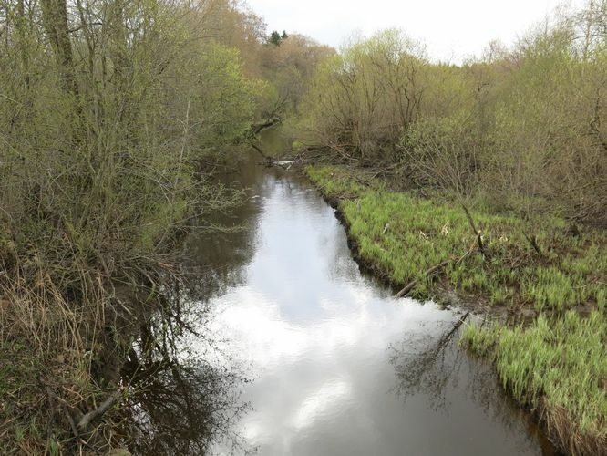 Maakond: Ida-Virumaa Veekogu nimi: Ojamaa jõgi Pildistamise aeg: 5. mai 2014 Pildistaja: H. Timm Pildistamise koht: Ojamaa Asimuut: