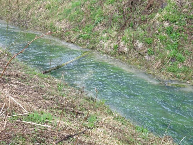 Maakond: Ida-Virumaa Veekogu nimi: Ojamaa peakraav Pildistamise aeg: 5. mai 2014 Pildistaja: H. Timm Pildistamise koht: alamjooks Asimuut: