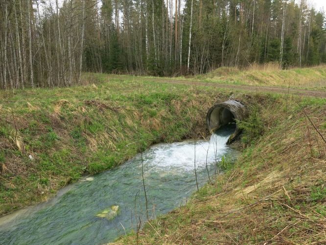 Maakond: Ida-Virumaa Veekogu nimi: Ojamaa peakraav Pildistamise aeg: 5. mai 2014 Pildistaja: H. Timm Pildistamise koht: alamjooks Asimuut: