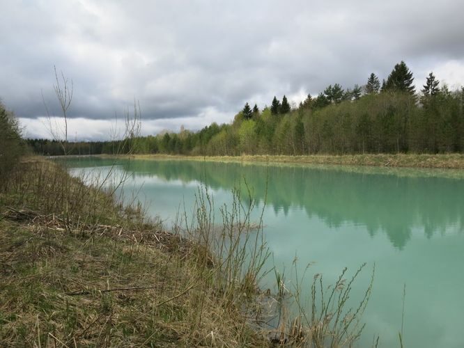 Maakond: Ida-Virumaa Veekogu nimi: Ojamaa settehoidla Pildistamise aeg: 5. mai 2014 Pildistaja: H. Timm Pildistamise koht: teadmata Asimuut: