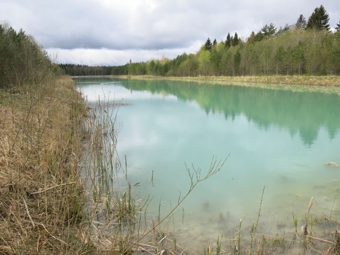 Maakond: Ida-Virumaa Veekogu nimi: Ojamaa settehoidla Pildistamise aeg: 5. mai 2014 Pildistaja: H. Timm Pildistamise koht: teadmata Asimuut: