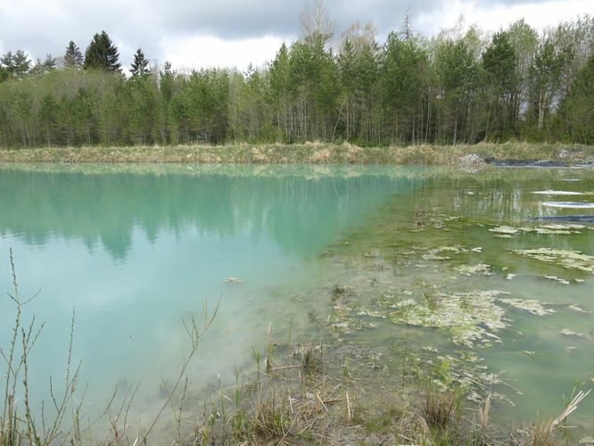 Maakond: Ida-Virumaa Veekogu nimi: Ojamaa settehoidla Pildistamise aeg: 5. mai 2014 Pildistaja: H. Timm Pildistamise koht: teadmata Asimuut: