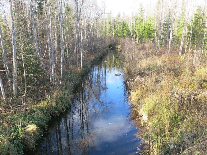 Maakond: Jõgevamaa Veekogu nimi: Onga jõgi Pildistamise aeg: 17. oktoober 2014 Pildistaja: H. Timm Pildistamise koht: Pedja tee sild Asimuut: