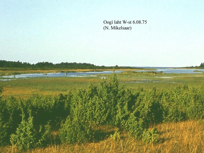 Maakond: Saaremaa Veekogu nimi: Oogilaht Pildistamise aeg: 6. august 1975 Pildistaja: N. Mikelsaar Pildistamise koht: SW kaldalt Asimuut: