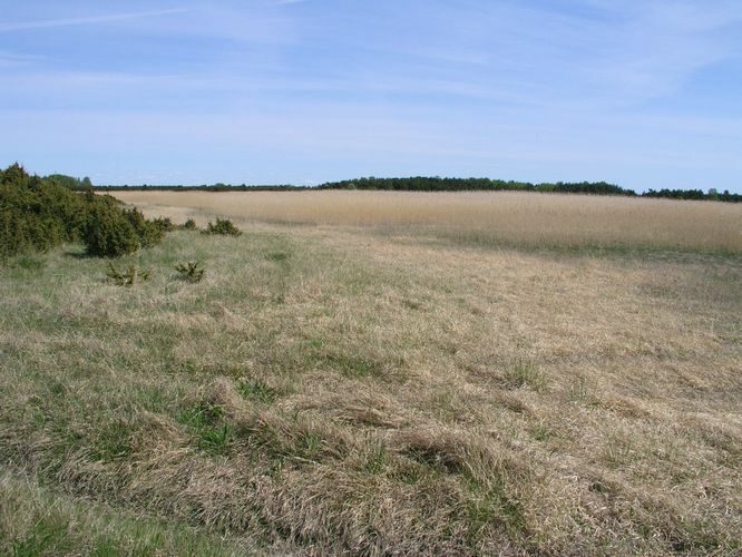 Maakond: Saaremaa Veekogu nimi: Oogilaht Pildistamise aeg: mai 2003 Pildistaja: H. Timm Pildistamise koht: teadmata Asimuut: