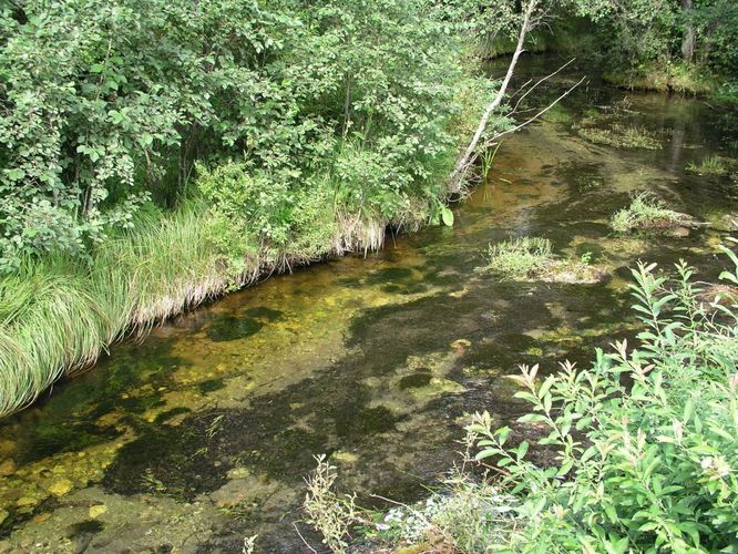 Maakond: Järvamaa Veekogu nimi: Oostriku jõgi Pildistamise aeg: august 2003 Pildistaja: H. Timm Pildistamise koht: teadmata Asimuut: