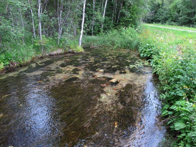 Maakond: Järvamaa Veekogu nimi: Oostriku jõgi Pildistamise aeg: 2. juuli 2010 Pildistaja: H. Timm Pildistamise koht: teadmata Asimuut: