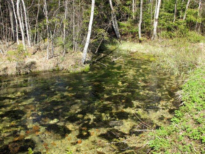 Maakond: Järvamaa Veekogu nimi: Oostriku jõgi Pildistamise aeg: 7. mai 2011 Pildistaja: H. Timm Pildistamise koht: Jõeküla - Norra tee Asimuut: