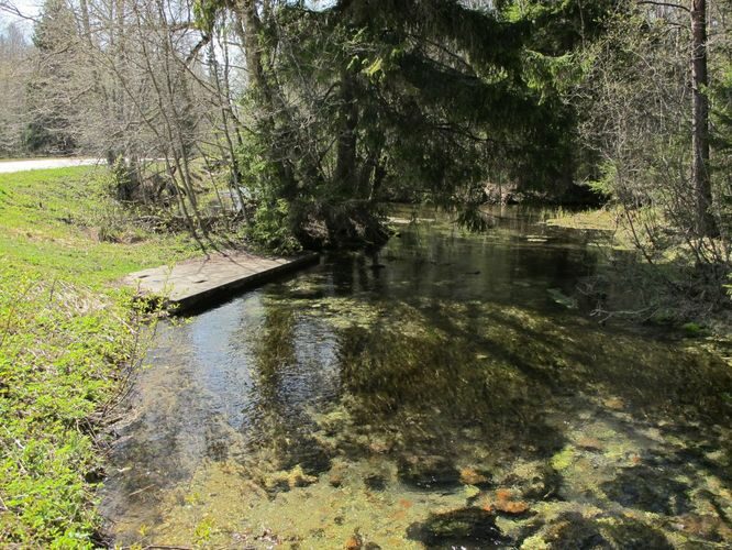 Maakond: Järvamaa Veekogu nimi: Oostriku jõgi Pildistamise aeg: 7. mai 2011 Pildistaja: H. Timm Pildistamise koht: Jõeküla - Norra tee Asimuut: