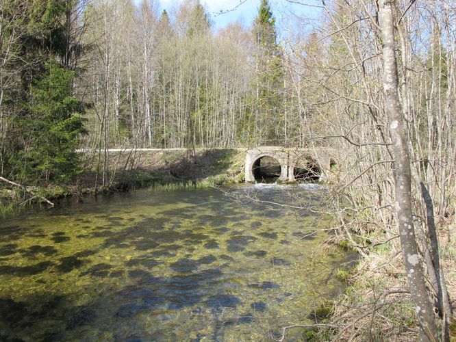 Maakond: Järvamaa Veekogu nimi: Oostriku jõgi Pildistamise aeg: 7. mai 2011 Pildistaja: H. Timm Pildistamise koht: Jõeküla - Norra tee Asimuut: