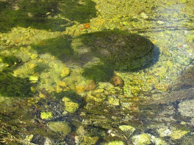 Maakond: Järvamaa Veekogu nimi: Oostriku jõgi Pildistamise aeg: 7. mai 2011 Pildistaja: H. Timm Pildistamise koht: Jõeküla - Norra tee Asimuut: