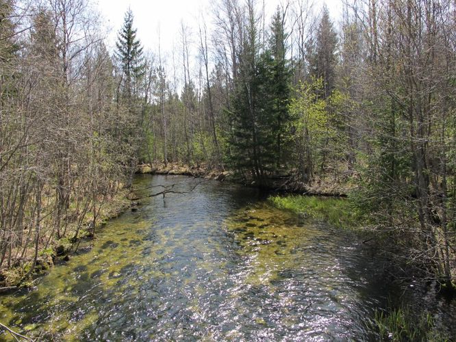 Maakond: Järvamaa Veekogu nimi: Oostriku jõgi Pildistamise aeg: 7. mai 2011 Pildistaja: H. Timm Pildistamise koht: Jõeküla - Norra tee Asimuut: