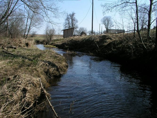 Maakond: Põlvamaa Veekogu nimi: Orajõgi Pildistamise aeg: 26. aprill 2009 Pildistaja: H. Timm Pildistamise koht: Mustajõe Asimuut: