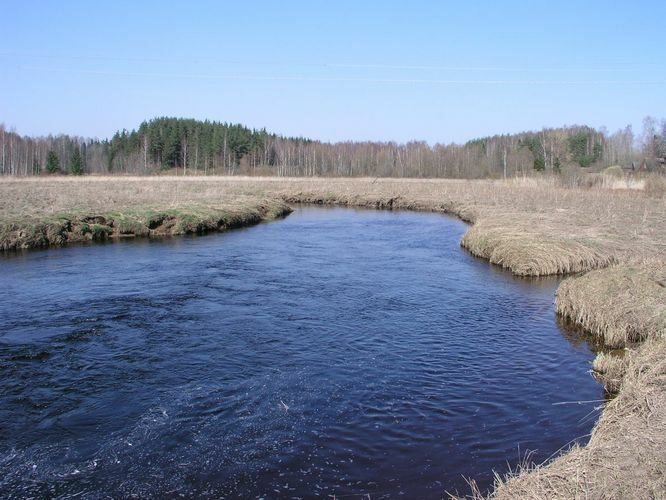 Maakond: Põlvamaa Veekogu nimi: Orajõgi Pildistamise aeg: 26. aprill 2009 Pildistaja: H. Timm Pildistamise koht: Himmaste Asimuut: