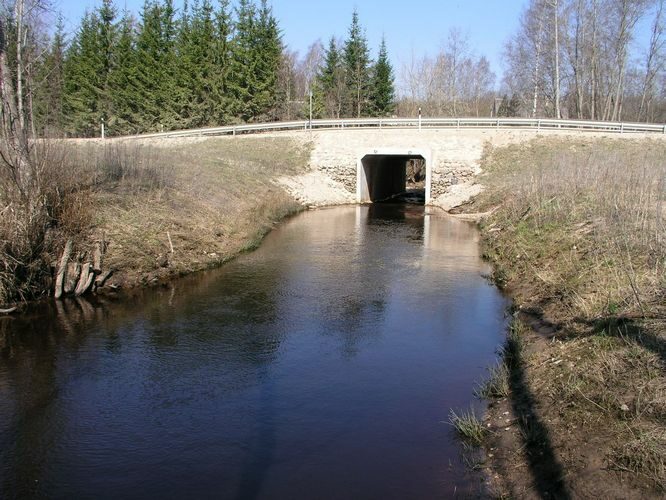 Maakond: Põlvamaa Veekogu nimi: Orajõgi Pildistamise aeg: 26. aprill 2009 Pildistaja: H. Timm Pildistamise koht: Metste Asimuut: