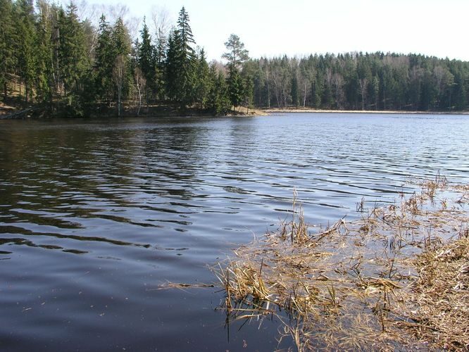 Maakond: Põlvamaa Veekogu nimi: Orajõgi Pildistamise aeg: 26. aprill 2009 Pildistaja: H. Timm Pildistamise koht: Põlva paisjärv Asimuut: