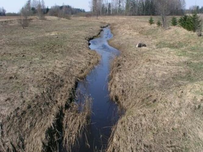 Maakond: Põlvamaa Veekogu nimi: Orajõgi Pildistamise aeg: 26. aprill 2009 Pildistaja: H. Timm Pildistamise koht: Mustajõe Asimuut: