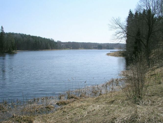 Maakond: Põlvamaa Veekogu nimi: Orajõgi Pildistamise aeg: 26. aprill 2009 Pildistaja: H. Timm Pildistamise koht: Põlva paisjärv Asimuut: