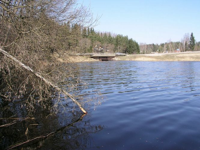 Maakond: Põlvamaa Veekogu nimi: Orajõgi Pildistamise aeg: 26. aprill 2009 Pildistaja: H. Timm Pildistamise koht: Põlva paisjärv Asimuut: