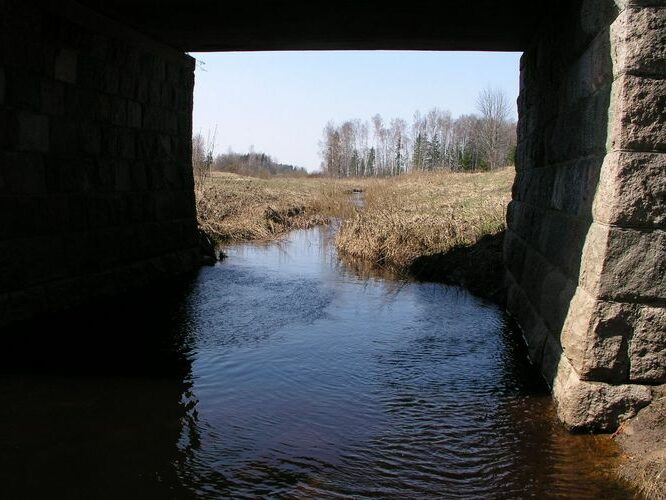 Maakond: Põlvamaa Veekogu nimi: Orajõgi Pildistamise aeg: 26. aprill 2009 Pildistaja: H. Timm Pildistamise koht: Mustajõe Asimuut: