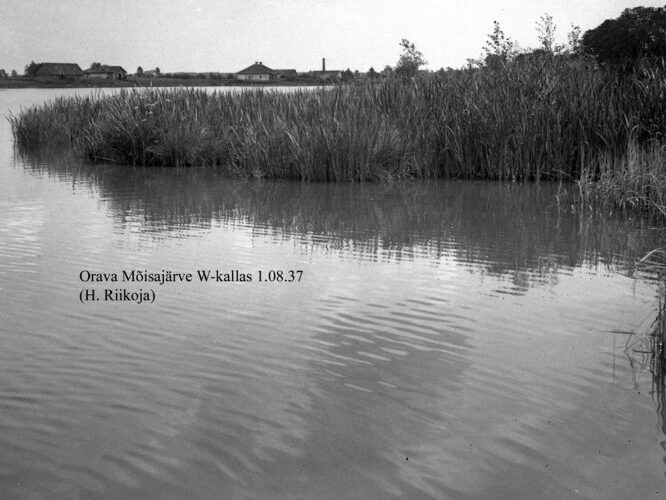 Maakond: Põlvamaa Veekogu nimi: Orava Mõisajärv Pildistamise aeg: 1. august 1937 Pildistaja: H. Riikoja Pildistamise koht: S kallas Asimuut: E