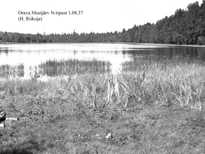 Maakond: Põlvamaa Veekogu nimi: Orava Mustjärv Pildistamise aeg: 1. august 1937 Pildistaja: H. Riikoja Pildistamise koht: N otsast Asimuut: SW