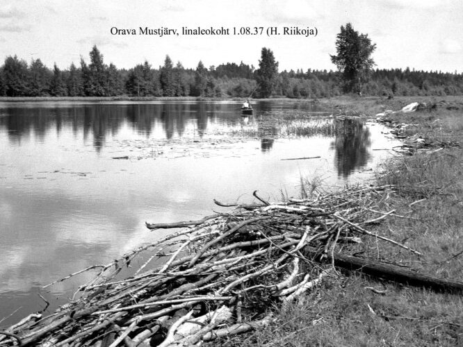 Maakond: Põlvamaa Veekogu nimi: Orava Mustjärv Pildistamise aeg: 1. august 1937 Pildistaja: H. Riikoja Pildistamise koht: linaleokoht (NE kallas?) Asimuut: