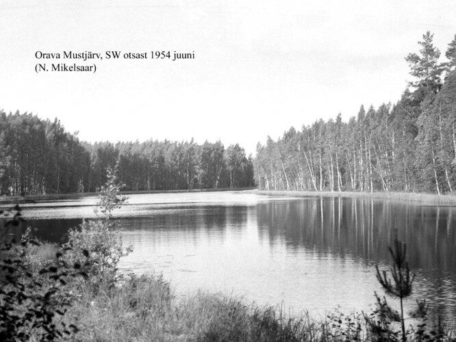 Maakond: Põlvamaa Veekogu nimi: Orava Mustjärv Pildistamise aeg: juuni 1954 Pildistaja: N. Mikelsaar Pildistamise koht: SW otsast Asimuut: NE