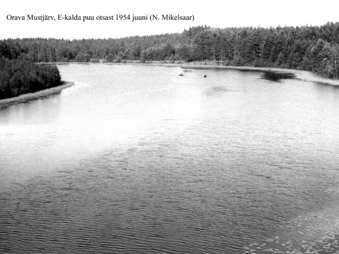 Maakond: Põlvamaa Veekogu nimi: Orava Mustjärv Pildistamise aeg: juuni 1954 Pildistaja: N. Mikelsaar Pildistamise koht: E kalda puu otsast Asimuut: SW?