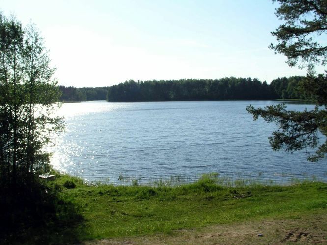 Maakond: Põlvamaa Veekogu nimi: Õrsava järv Pildistamise aeg: juuni 2004 Pildistaja: H. Timm Pildistamise koht: teadmata Asimuut: