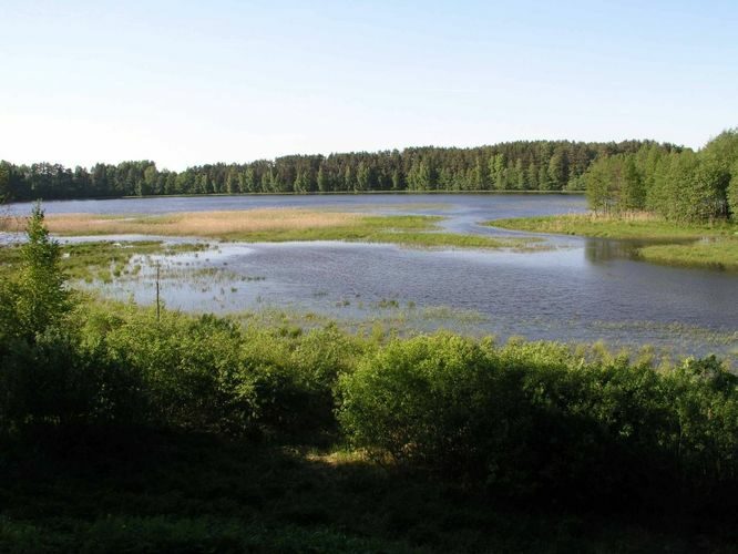 Maakond: Põlvamaa Veekogu nimi: Õrsava järv Pildistamise aeg: juuni 2004 Pildistaja: H. Timm Pildistamise koht: teadmata Asimuut: