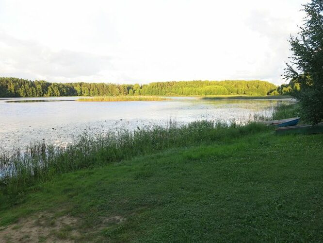 Maakond: Põlvamaa Veekogu nimi: Õrsava järv Pildistamise aeg: 1. august 2013 Pildistaja: H. Timm Pildistamise koht: teadmata Asimuut: