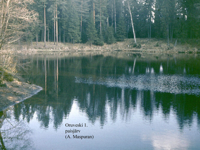 Maakond: Lääne-Virumaa Veekogu nimi: Oruveski 1. paisjärv Pildistamise aeg: teadmata Pildistaja: A. Maspuran Pildistamise koht: teadmata Asimuut: